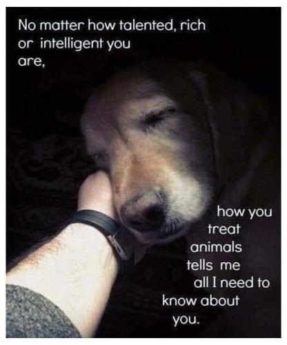 07:23:28 GMT-0600 (CST)