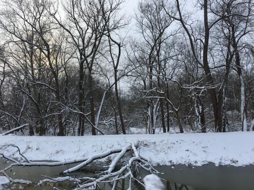 06:21:47 GMT-0500 (EST).image