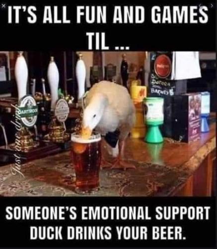 12:02:17 GMT-0600 (CST)