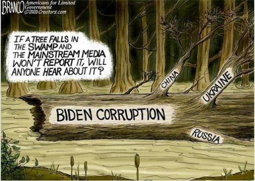 Biden  Corruptions and MSM