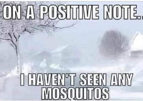 11:06:14 GMT-0600 (CST)