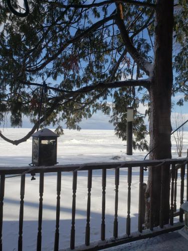 15:35:59 GMT-0500 (EST)