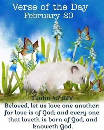 22:42:41 GMT-0600 (CST)