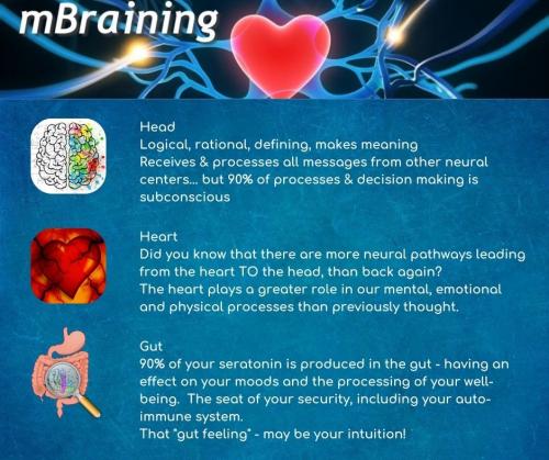 mBraining-head-heart-gut (2)