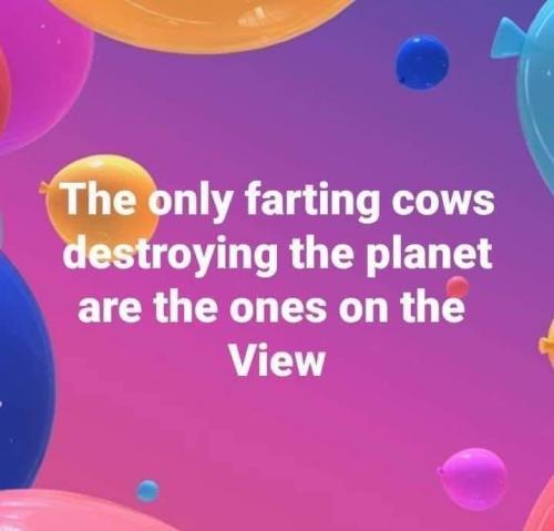 132653246_1837855859713058_5582981922706954512_n