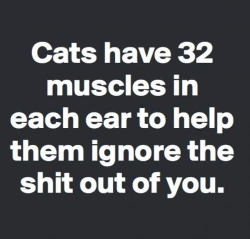 19:30:15 GMT-0500 (EST)