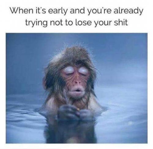 06:12:59 GMT-0400 (EDT)