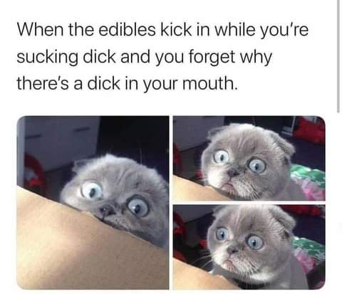 19:23:21 GMT-0800 (PST)