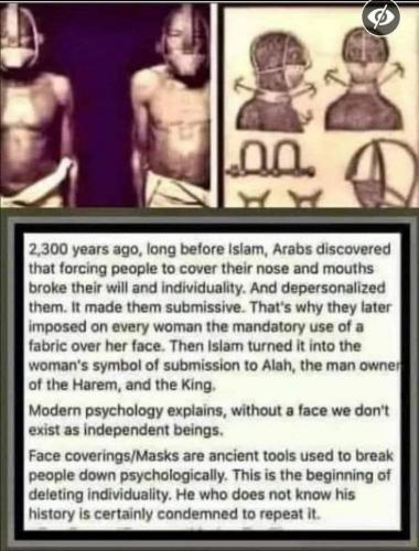 A7016526-27BC-4AB8-B02E-445C59CBF5E9