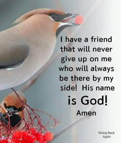 8746F842-5997-446A-BD67-4C070705B5DA