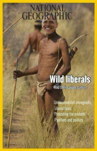 19748609_1490940020952099_7247025427643534351_n