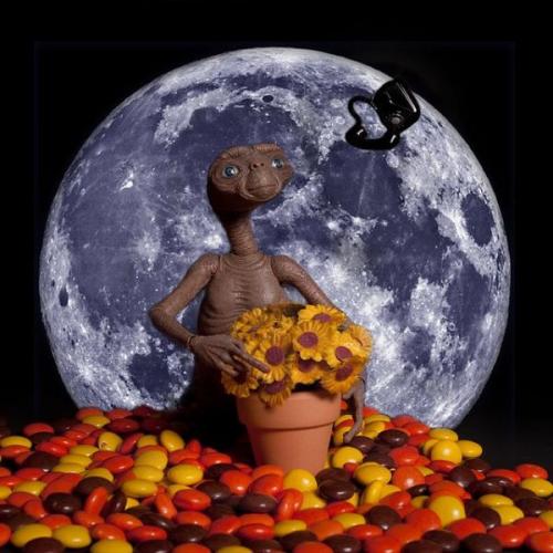 mp-2021productplacement1