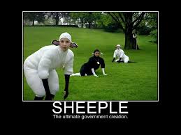 sheeple 4
