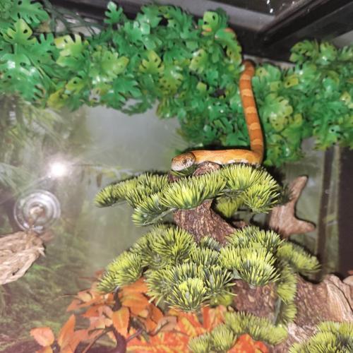 21:51:25 GMT-0500 (EST)