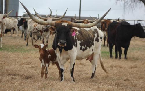 161812002_4266393126723815_82250110626531425_o