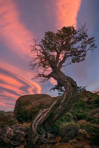 19:50:42 GMT-0600 (CST)