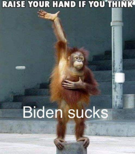 08:49:19 GMT-0500 (EST)