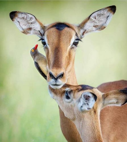 163199904_1826546040844933_654922536692026353_o