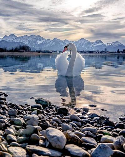 156525888_1812210738945130_7122958843796301946_o