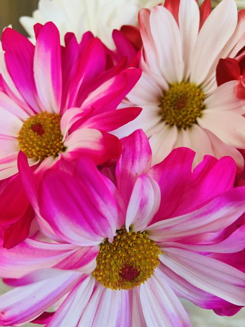 3523BD0B-865F-48A2-A32C-F6722C3020A3