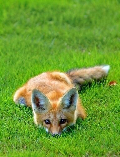 158701166_700110667323826_7770315861083327580_n