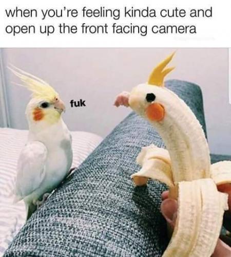 15:37:35 GMT-0700 (PDT)