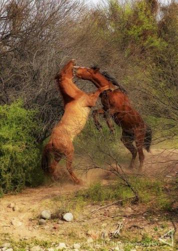 14900460_10205621679021467_787607271459541899_n