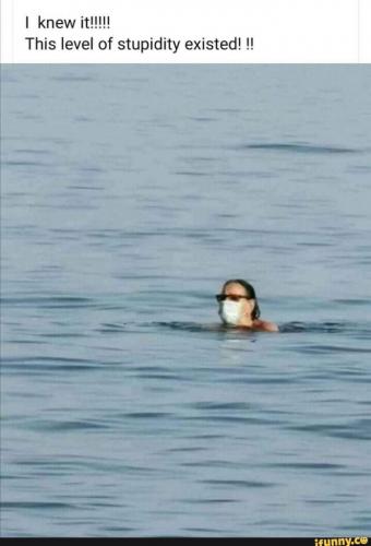 a091508a2f36a110762d307916068523_1024