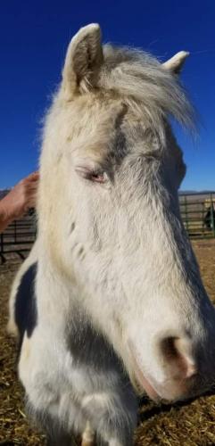 07:39:25 GMT-0800 (PST).image