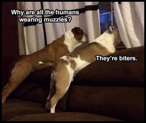 17:08:09 GMT-0800 (PST)