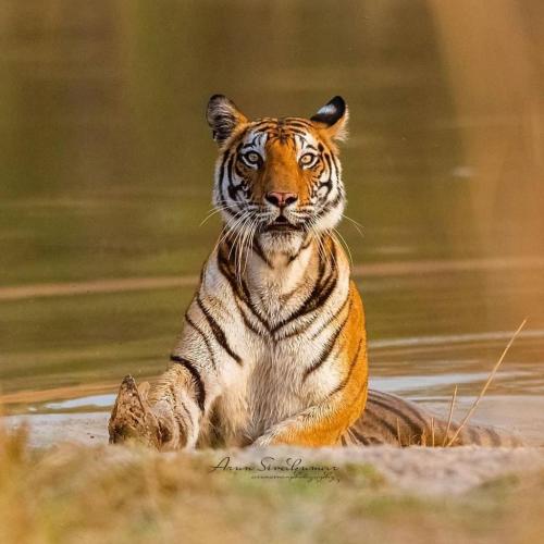 154378409_1090003494797394_9062704759395139983_o