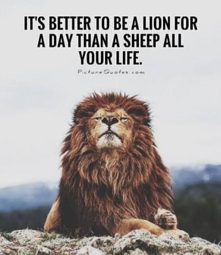 21:05:35 GMT-0700 (PDT).image