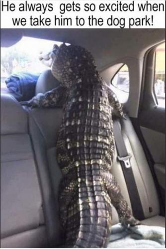 13:30:03 GMT-0700 (PDT)