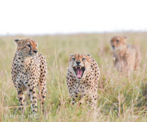 155483202_3697313493677707_1323849323056324725_n