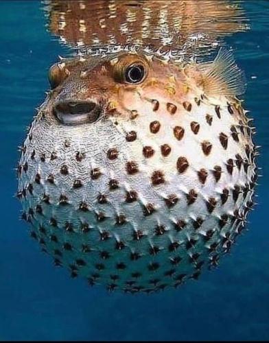 165369535_3824110557703029_5605796893974590313_n