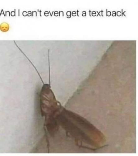 19:52:03 GMT-0800 (PST)