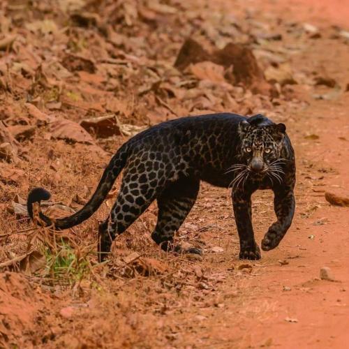 164879767_1829715897194614_1217532768495321181_o