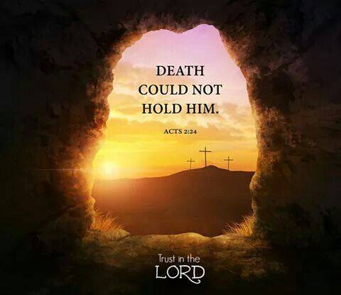 57972784_327786157919029_8048164823122313216_n