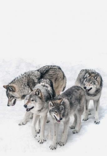 e871966fa8fa28e158ca041759da4cca