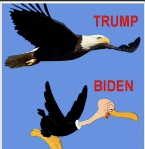 08:10:54 GMT-0500 (EST)