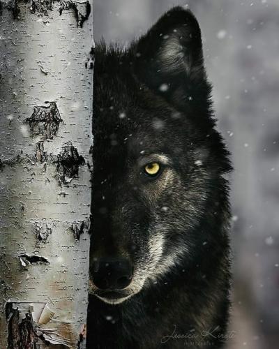 159547529_1817876301711907_5180154296193329009_n