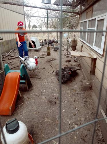 22:22:05 GMT-0500 (CDT)