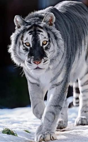 162049540_1535148453351166_4951469243831892650_o