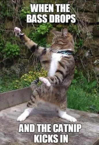 13:58:00 GMT-0700 (PDT)