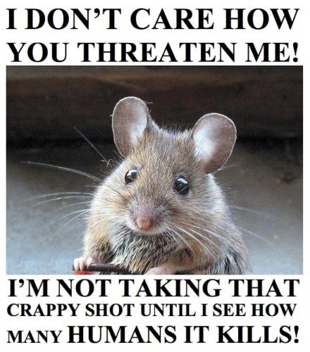 12:38:16 GMT-0600 (CST)