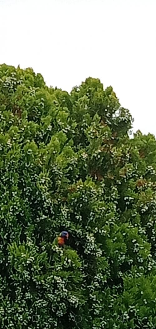 19:02:18 GMT+1100 (AEDT)