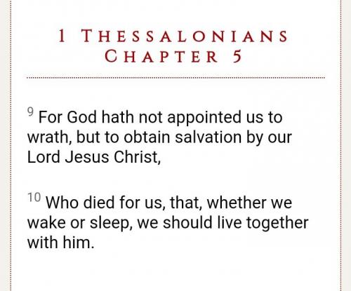 Tumblr_l_37575046126161