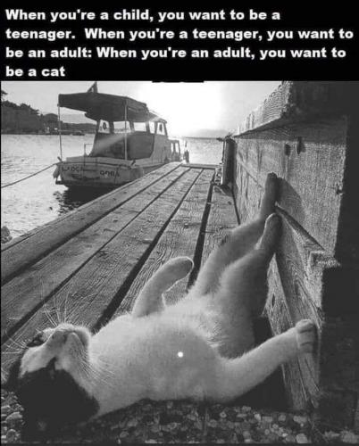 20:18:05 GMT-0400 (EDT)