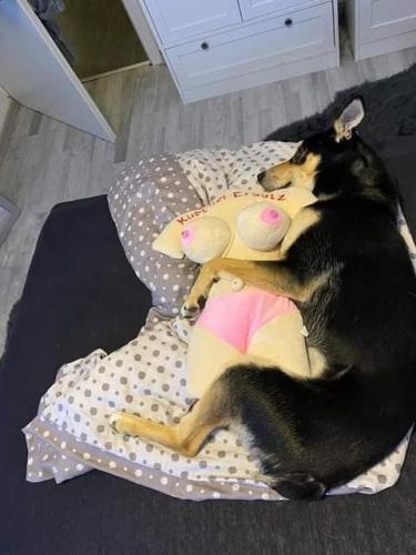 16:23:25 GMT-0800 (PST)