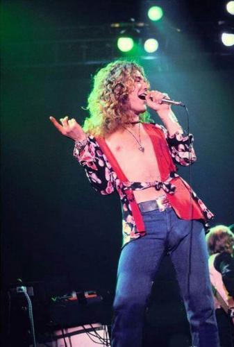 a780b6e9e926897a1b3a60dcc21d9648